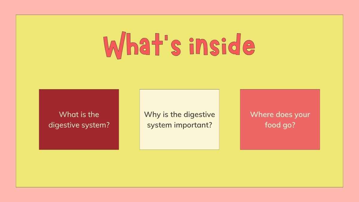 Slides Ilustrados do Sistema Digestório para o 4º Ano - deslizar 2