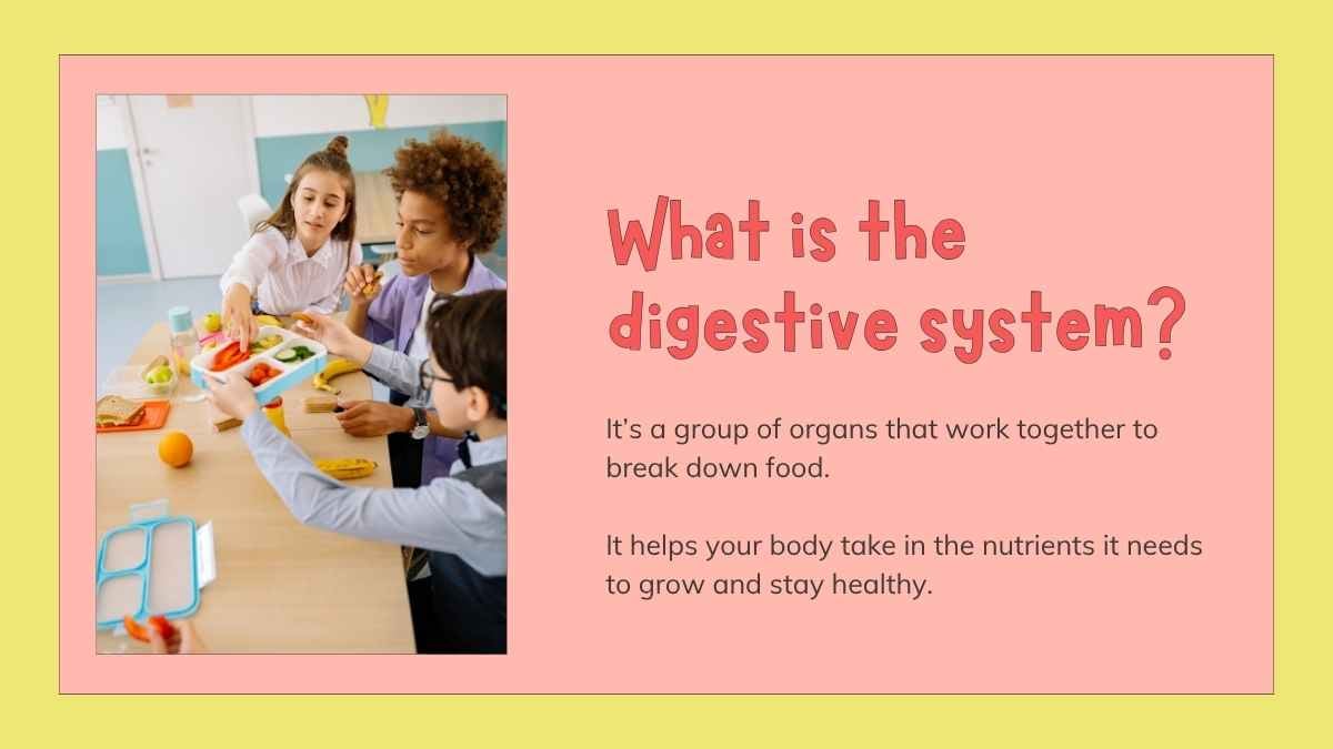 Slides Ilustrados do Sistema Digestório para o 4º Ano - deslizar 4