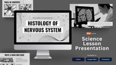 Histologia do Sistema Nervoso Minimalista em Slides