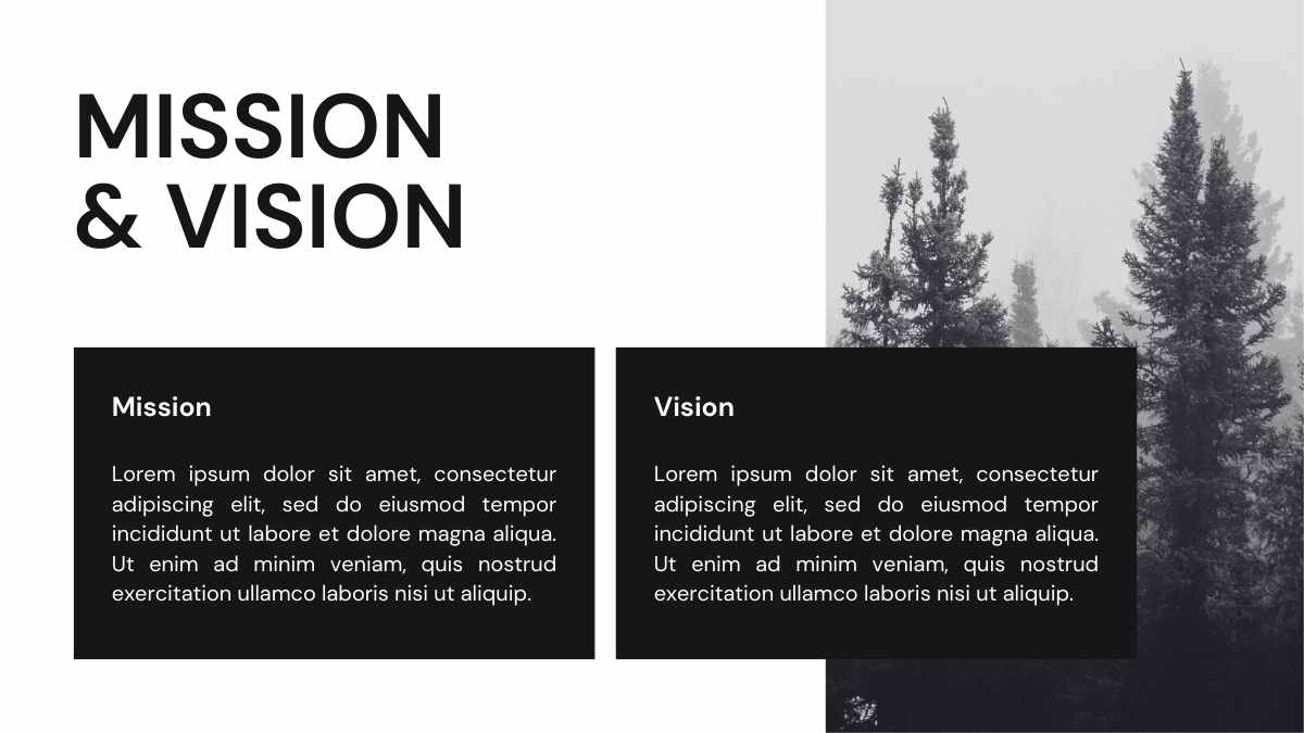 Portfólio Minimalista de Fotojornalismo em Slides - deslizar 6